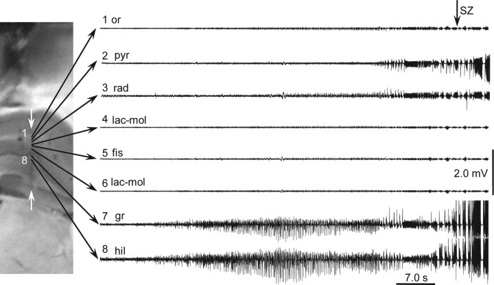 Figure 9.