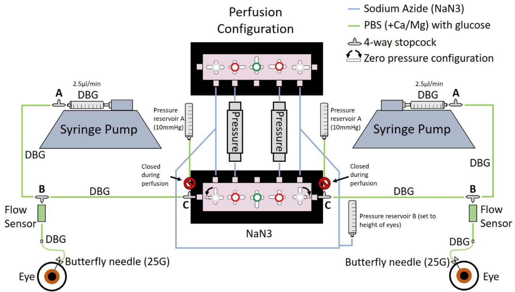 Figure 2: