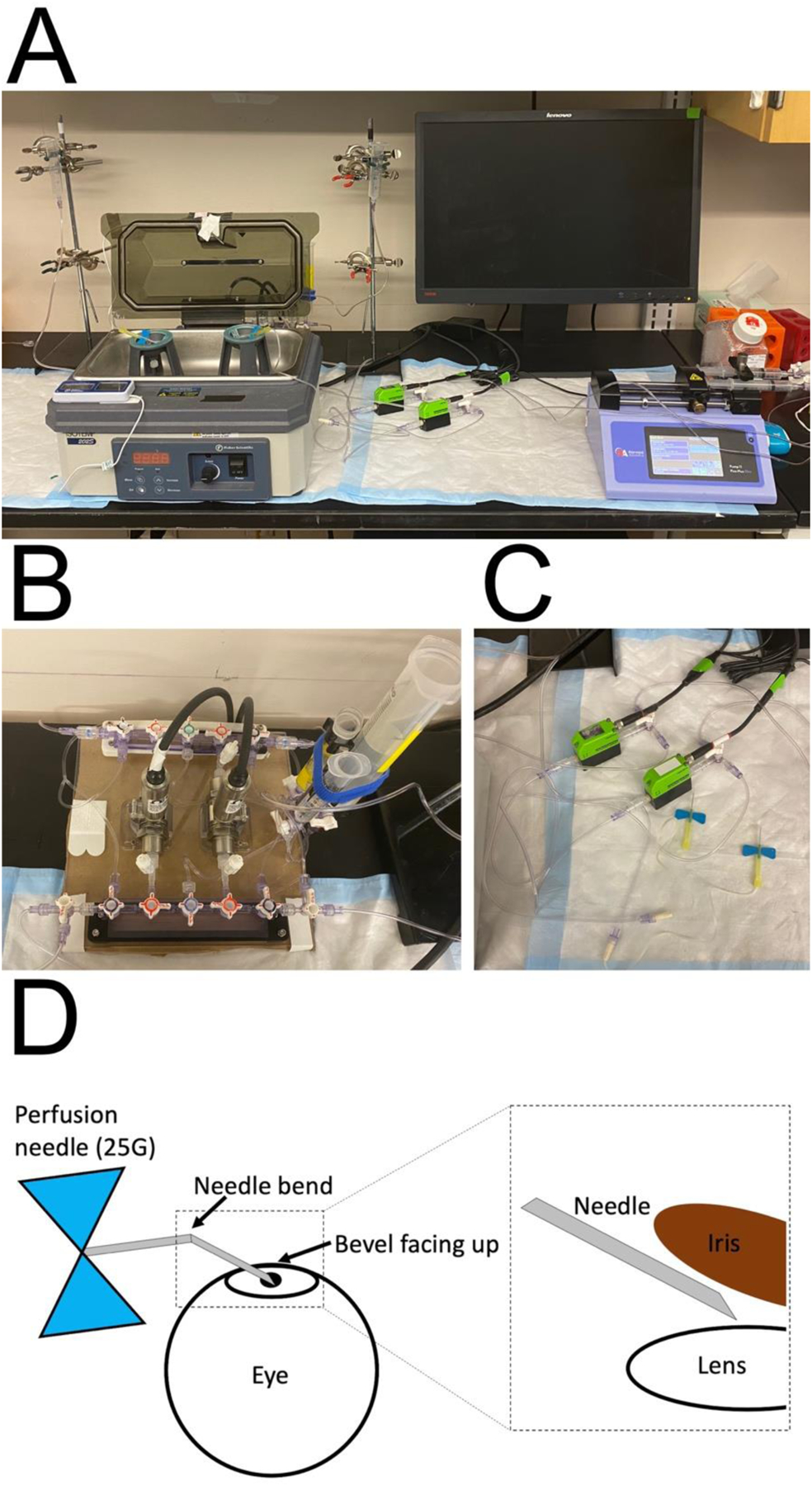 Figure 3: