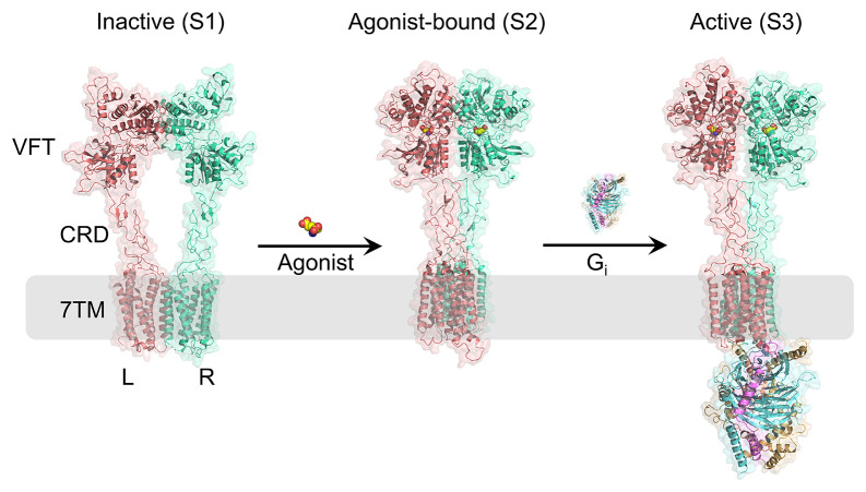 Fig. 1.