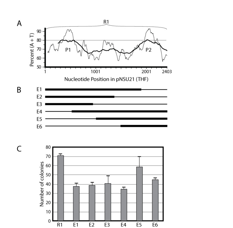 Figure 3. 