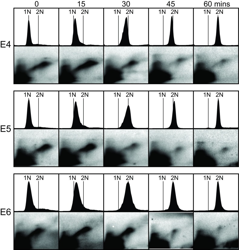 Figure 7. 