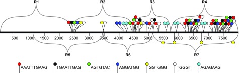 Figure 9. 