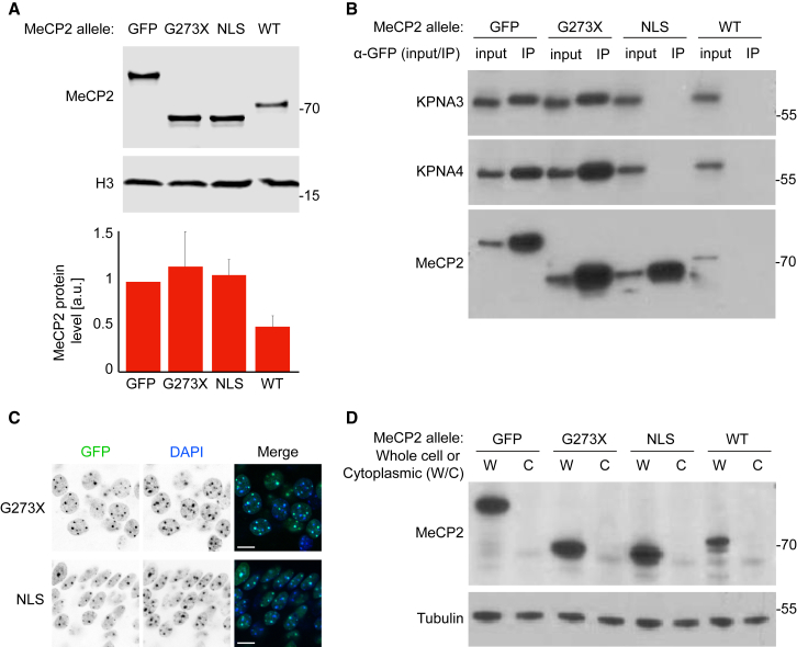 Figure 3