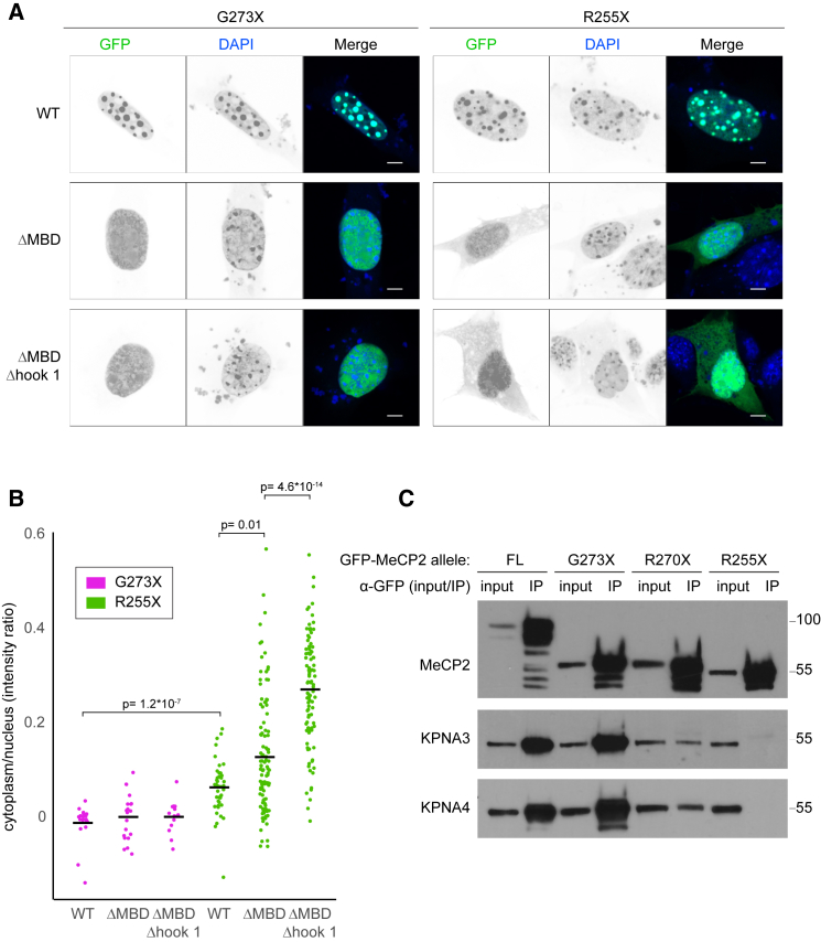 Figure 2