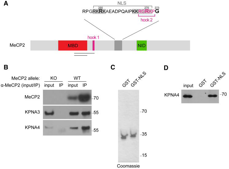 Figure 1