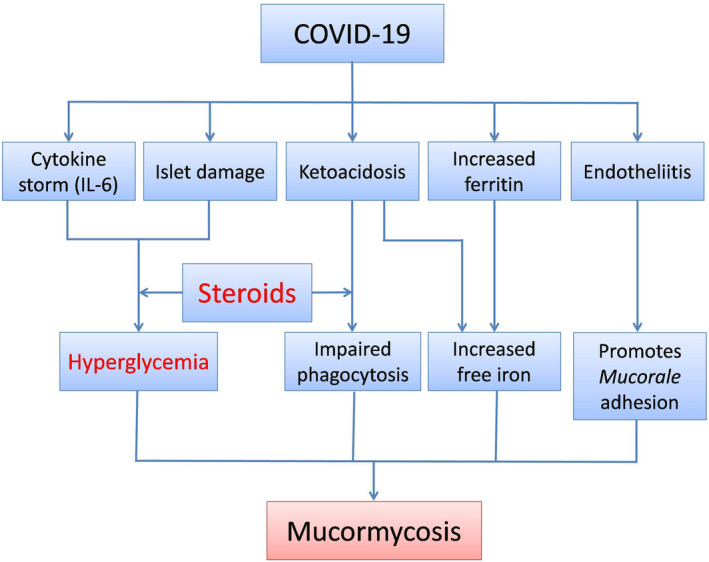 FIGURE 2