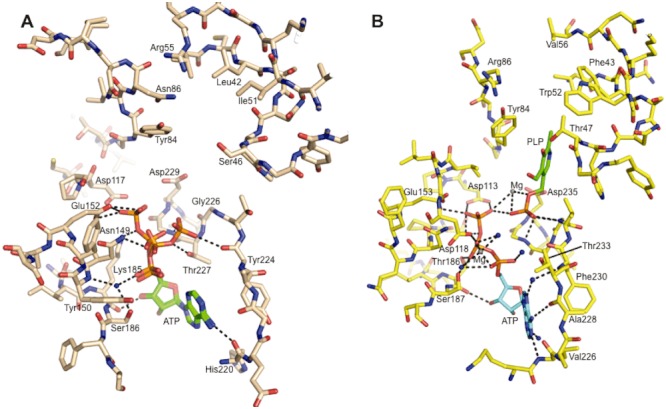 Fig. 8