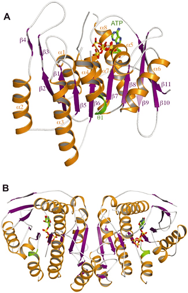 Fig. 6