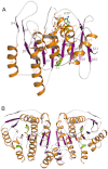 Fig. 6