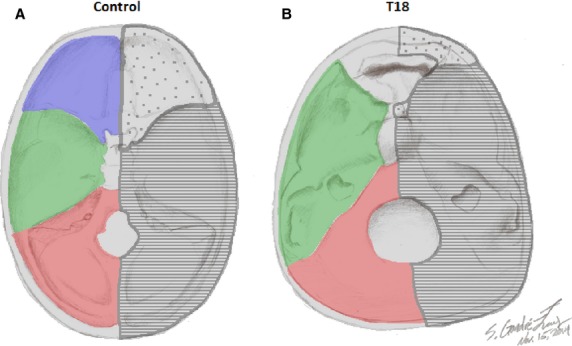 Figure 9