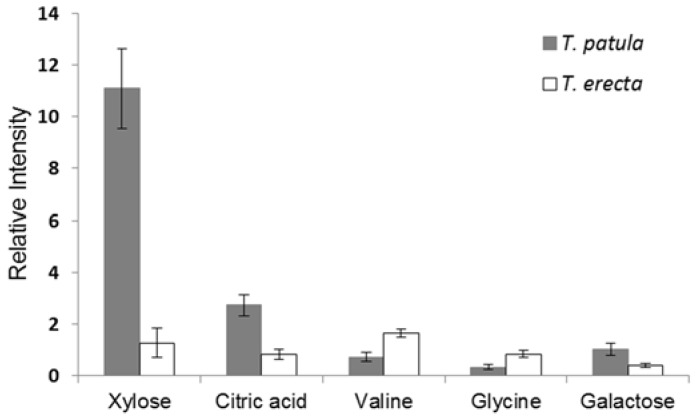 Figure 7