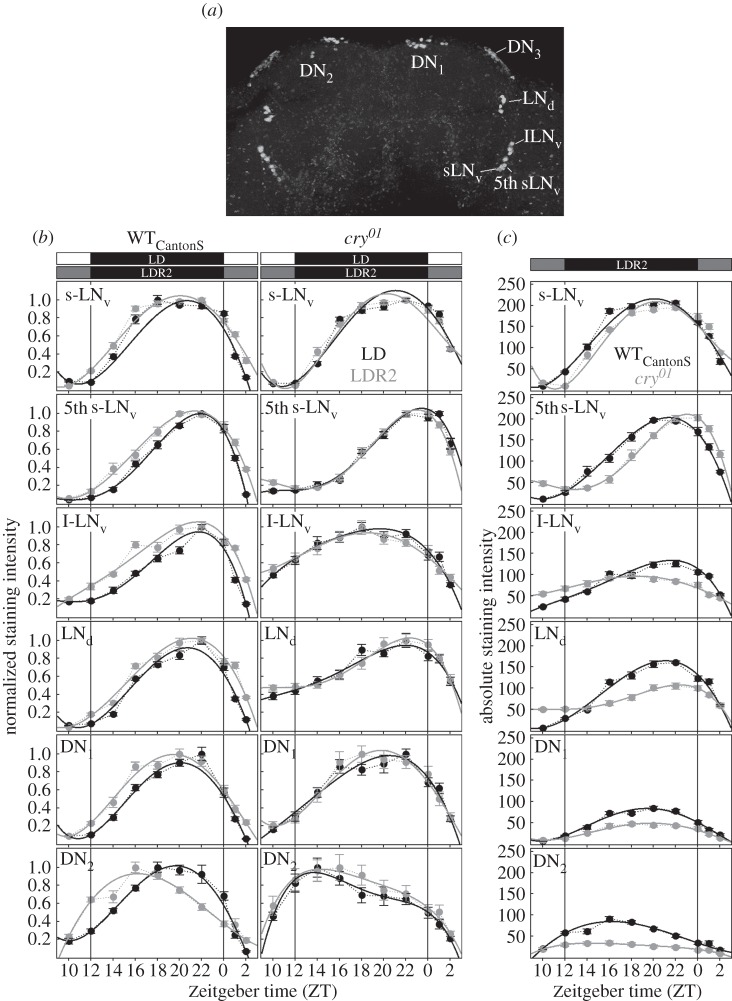 Figure 3.