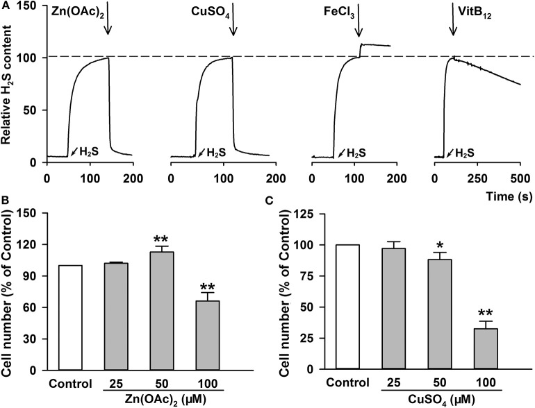 Figure 7