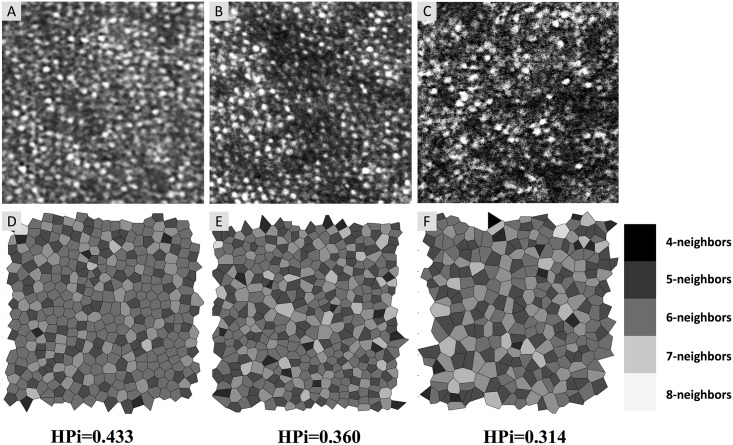 Fig 2