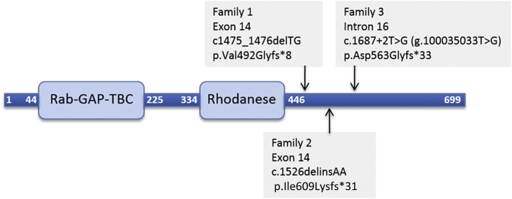 Figure 2