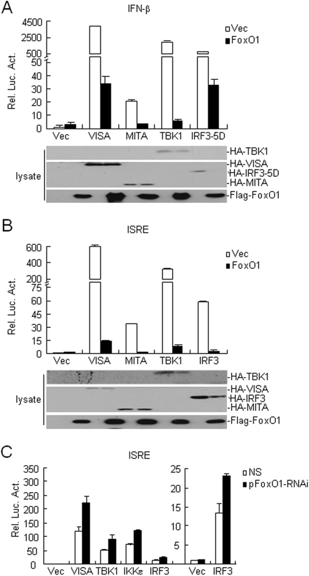 FIGURE 3.