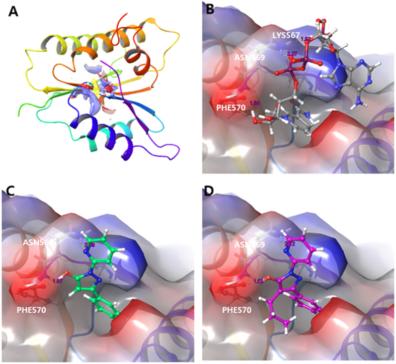 Figure 2