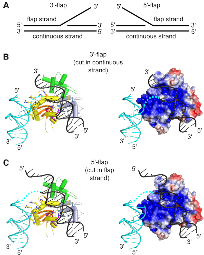 Figure 3.