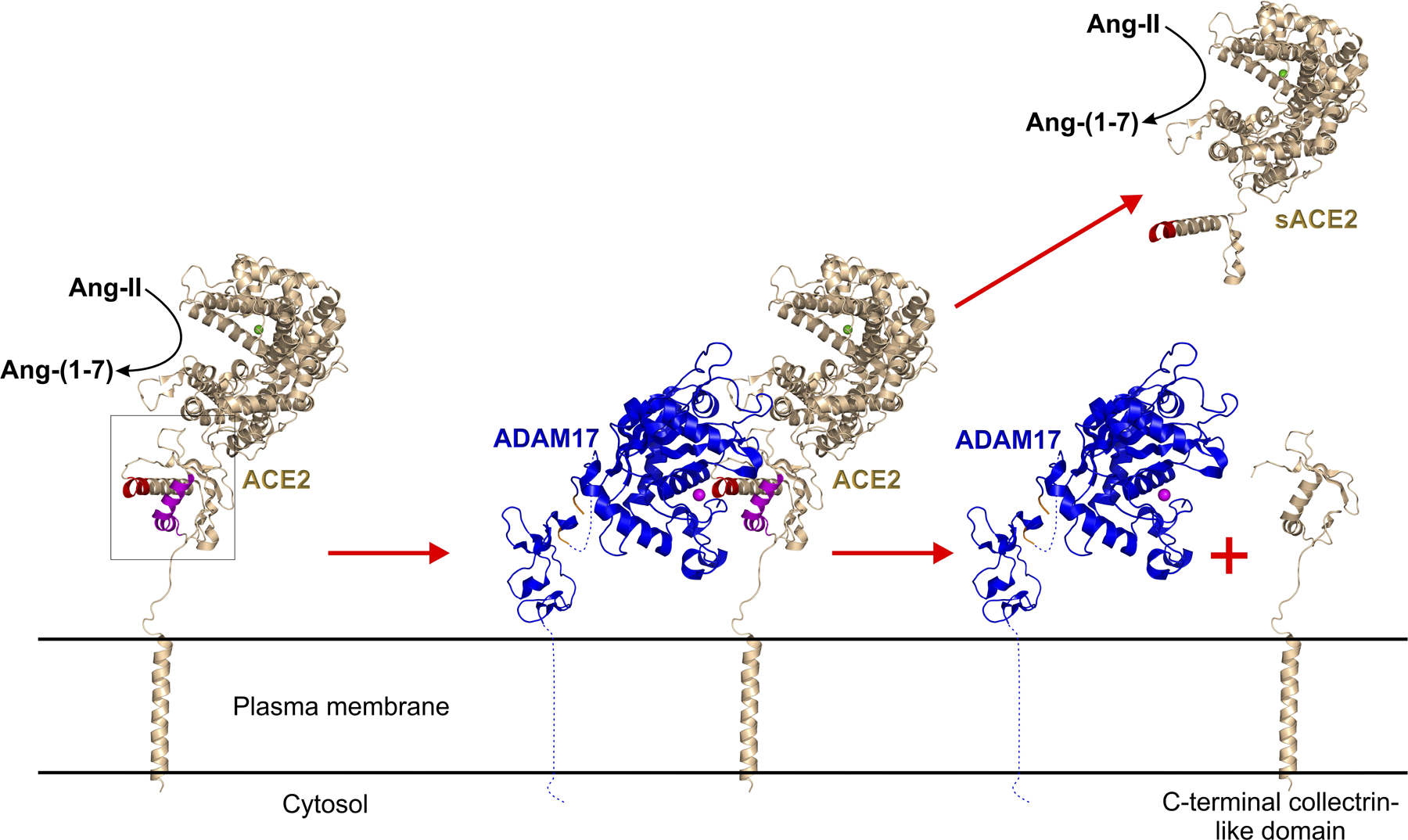 Figure 3: