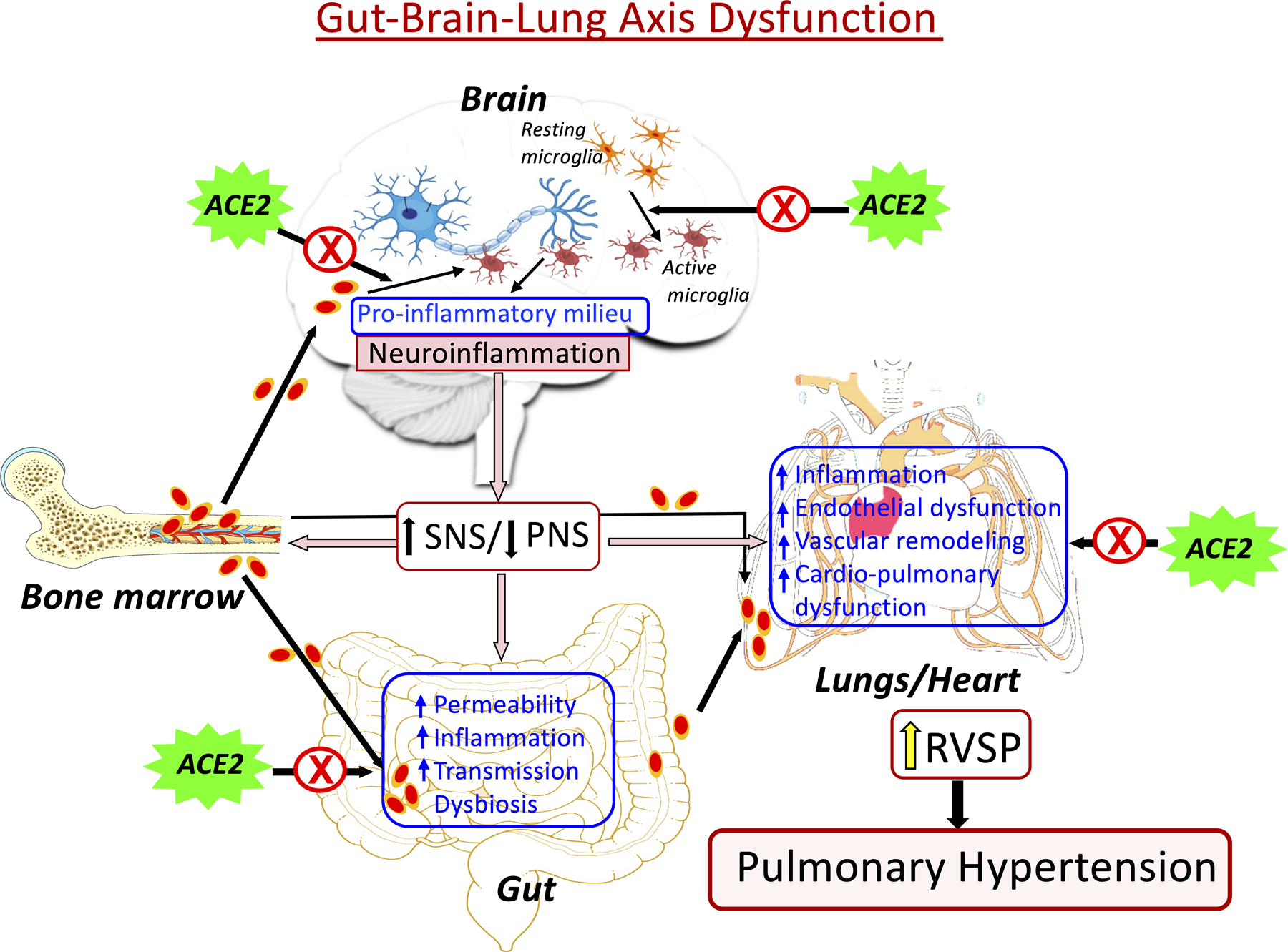 Figure 6: