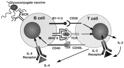 FIG. 9