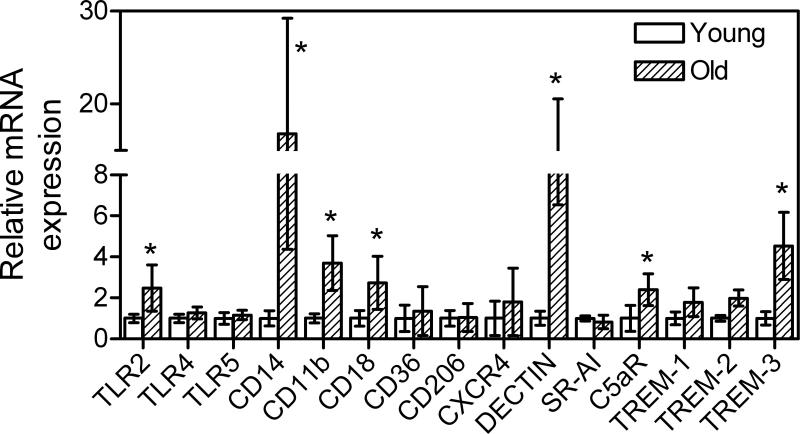 Fig. 3