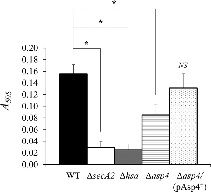 FIGURE 11.