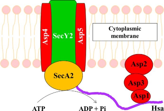 FIGURE 12.