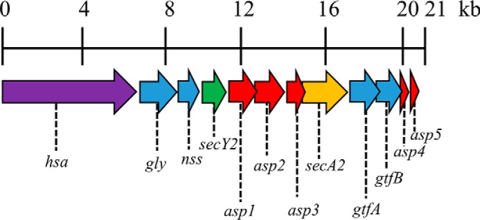 FIGURE 1.