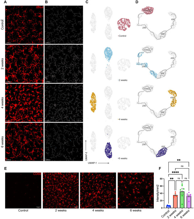 Figure 2:
