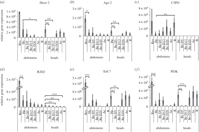 Figure 9.