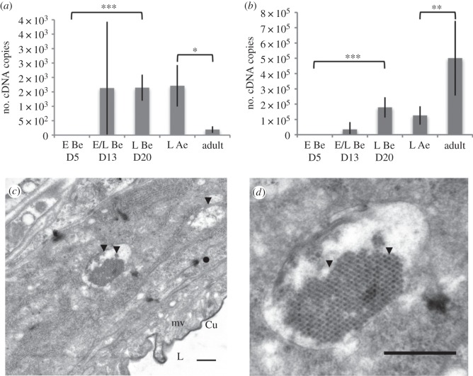 Figure 4.