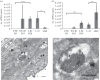 Figure 4.