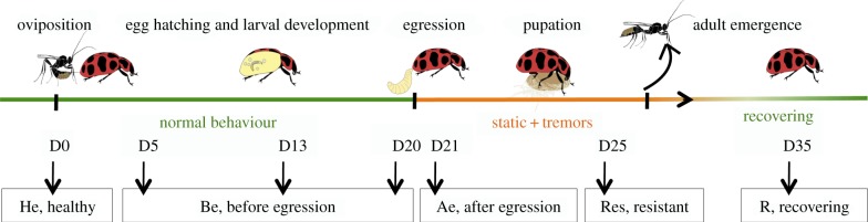 Figure 1.