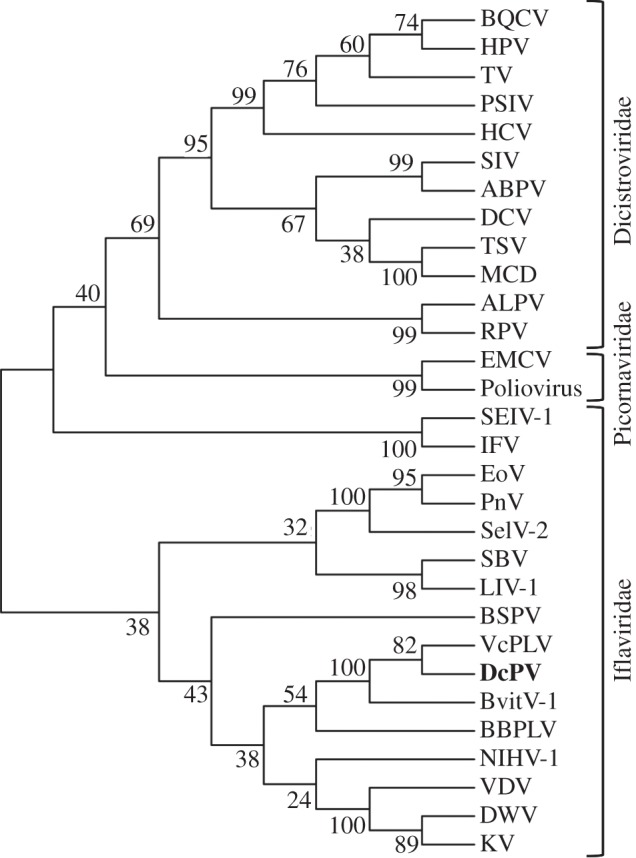 Figure 3.