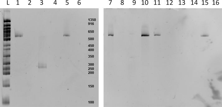 FIG. 7.