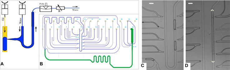 FIG. 2.