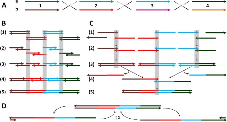 FIG. 4.