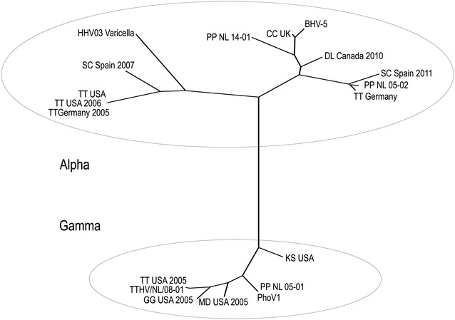 Figure 3