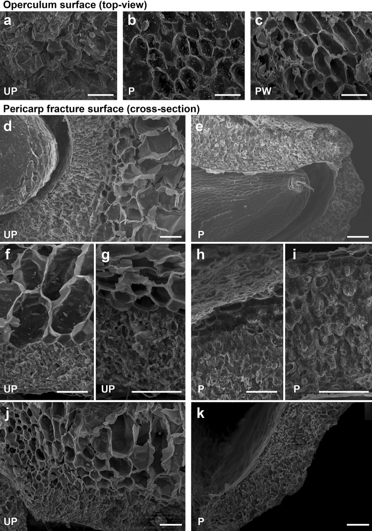 Fig. 7