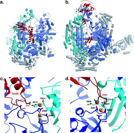 FIG. 3.—