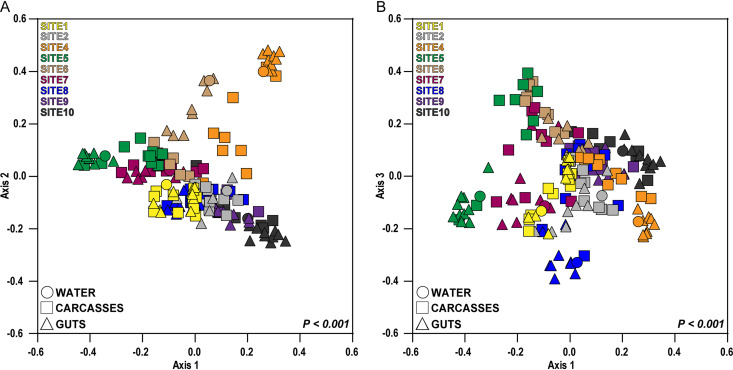 FIG 3