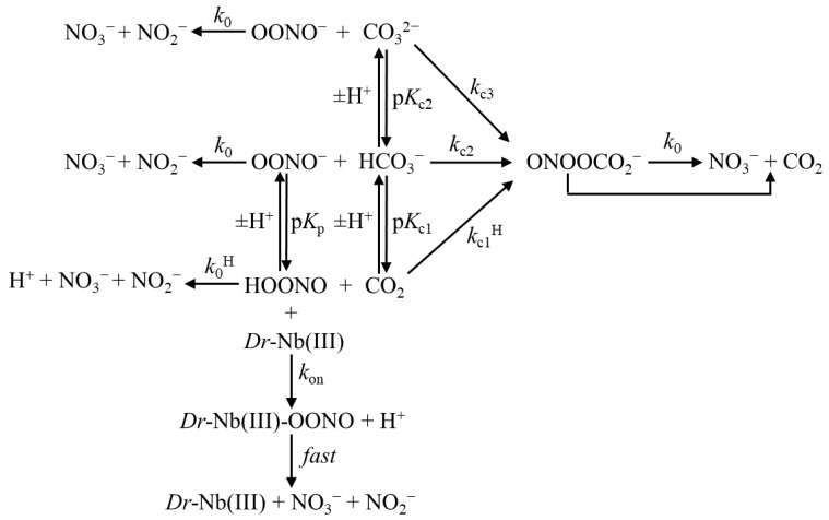 Scheme 2