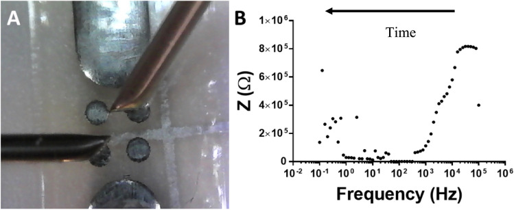 Fig. 5