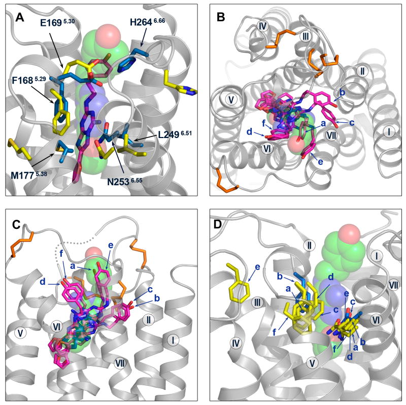 Figure 6