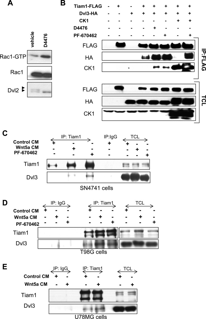 Fig 5