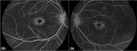 Fig. (6)