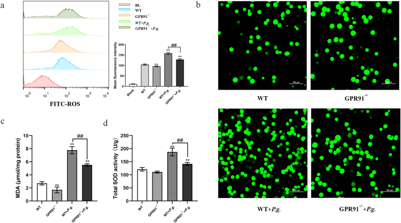 Fig. 4