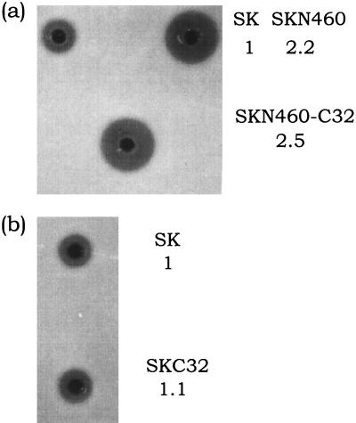 FIG. 3